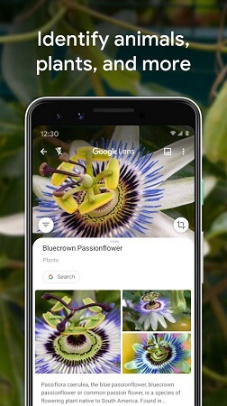 Google Lens Latest Version APK